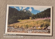 Magnes na lodówkę Zakopane. Dolina Kościeliska. Krokusy. Tatry. Giewont. 