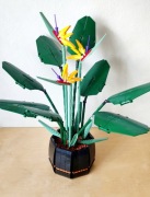 Klocki Strelicja królewska 1170 el.