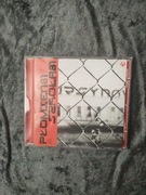 PŁOMIEŃ 81 SZKOŁA 81 