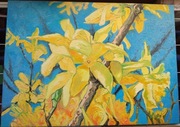 Oryginalny obraz olejny 50x70 Forsycje