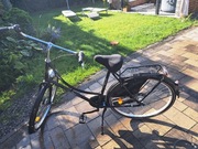 Rower Damski Miejski Proximo