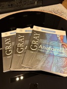 GRAY - Anatomia tom 1-3 – podręcznik do anatomii dla studentów
