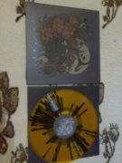 Toń Korzenie płyta winylowa