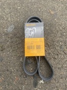 Pasek wielorowkowy Continental