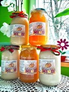 Miód WIELOKWIATOWY Pasieka zarejestrowana