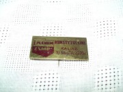 ODZNAKA - I PLENUM KONSTYTUCYJNE ZSMP - 10 MAJA 1976 r.