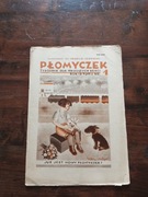 Płomyczek tygodnik dla dzieci i młodzieży 20.08.1934