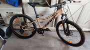 Rower  Giant xtc 24 ,disc