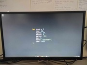 Monitor Gamingowy AOC AGON AG241QX 24'' 