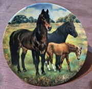 Talerz ozdobny kolekcjonerski Bradford KONIE