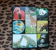 Encyklopedia zwierząt od A do Z