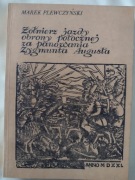 Żołnierz jazdy obrony potocznej za panowania Z.A.