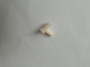 Łącznik kręgi szyjne żebra  szkielet ciało człowieka National Geographic