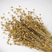 Len suszony złoty - Naturalne Dekoracje Świąteczne