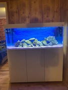 akwarium z szafką i osprzętem 