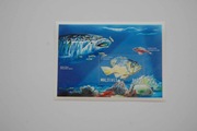 Malediwy Sw 3550** ryby raf koralowych /ms/