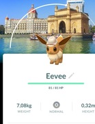 Pokemon Go Eevee z tłem City Safari Mumbai Trade