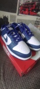 Nike dunk low retro 