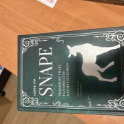 Snape prawdziwa twarz tajemniczego mistrza eliksirow