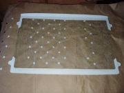 Półka do lodówki Amica 