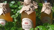 Ocet z bluszczyka kurdybanka, 330 ml - żywy