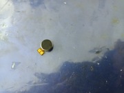 Silniczek wibracyjny| Samsung A32 4G A325