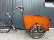 Rower Riksza 7 biegów Nexus. 