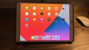 iPad pro 64gb wifi + cellular, gold.