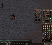 NERWIA AKADEMIA FULL IS + GRATISY