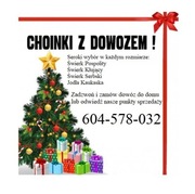 Choinka Jodła Świerk DOWÓZ Punkty Reda Wejherowo 