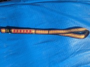 Lonża krótka Lhotse 