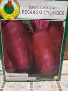 Burak ćwikłowy 'Regulski Cylinder' nasiona