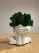 Doniczka betonowa z chrobotkiem