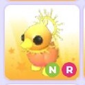 Adopt me! NR Sunrise ducking legendary
