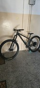 Ns Bikes Eccentric Alu 29