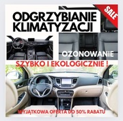 Odgrzybianie Klimatyzacji i Ozonowanie Całego Auta!