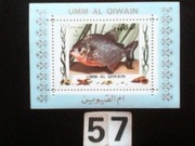 Ryby , mini-bloczki czyste 57 [ 8 pozycji ]