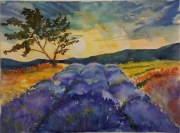 Lawendowe pole, rama 50/60, okno 35/45