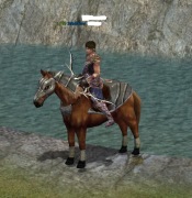 NINJA ARCHER 51LVL BOJOWY Z EQ + 20KK W SKRZYNI SHINSO PROJEKT HARD METIN2 