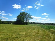 Przyjmę ziemię z transportem