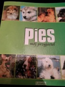 SEGREGATOR PIES MOJ PRZYJACIEL SEGREGATOR