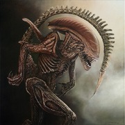 Obraz Olejny na płótnie, abstrakcja, surrealizm