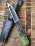 Jakucki praworęczy w chybrydzie