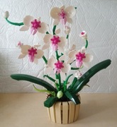 Klocki Orchidea - 2 warianty 1190 el.