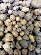 Keramzyt 8-20 mm. ,50 litrów.