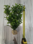 Sztuczne roślinki do akwarium