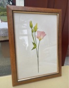 Print z róża w drewnianej ramie