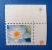 Fi 4638 ** NAROŻNIK Kwiaty i owoce Grzybienie 2015