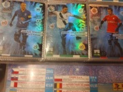 Panini ekstraklasa 2014/2015 3 karty ekspert cena za całość 