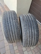 Firestone Roadhawk 225/50R17